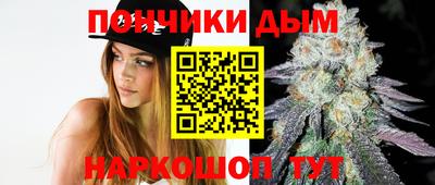 МДПВ Пенза