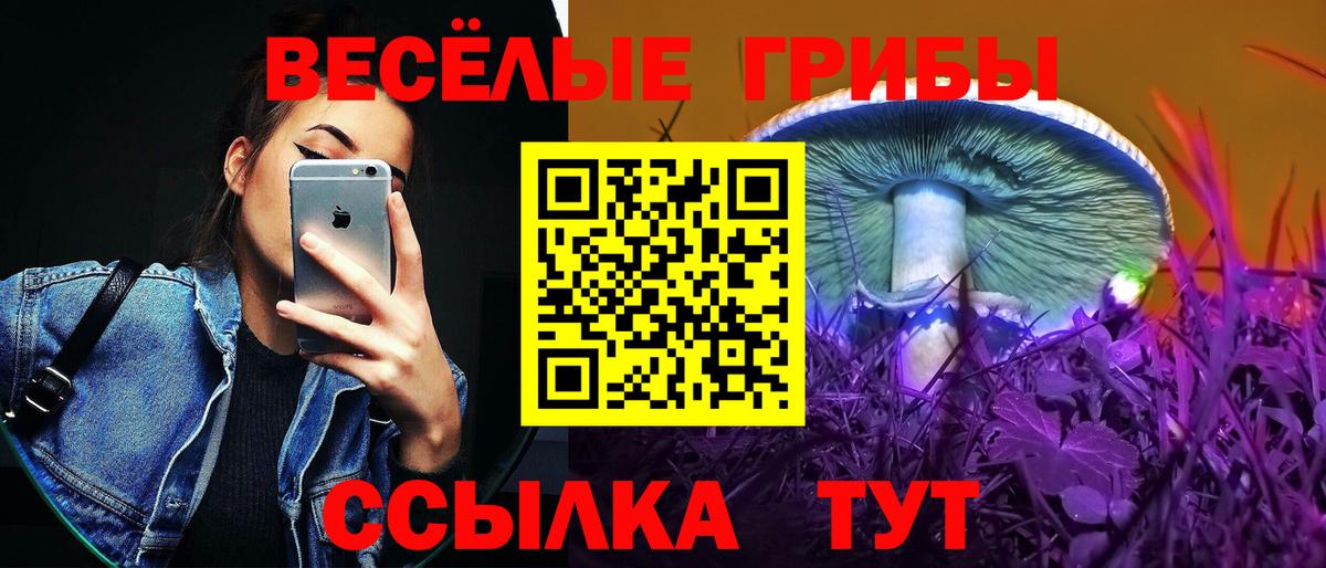 Ялуторовск  Псилоцибиновые грибы Psilocybe  Псилоцибиновые грибы Psilocybine cubensis  Вход с VPN 