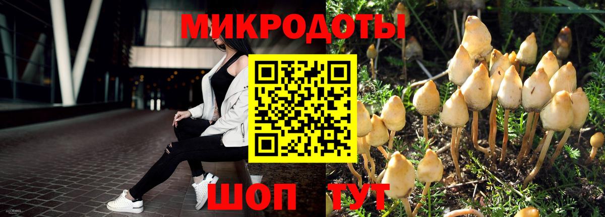 Галлюциногенные грибы Magic Shrooms Ялуторовск